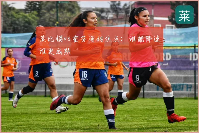 莱比锡vs霍芬海姆焦点:谁能降速谁更成熟